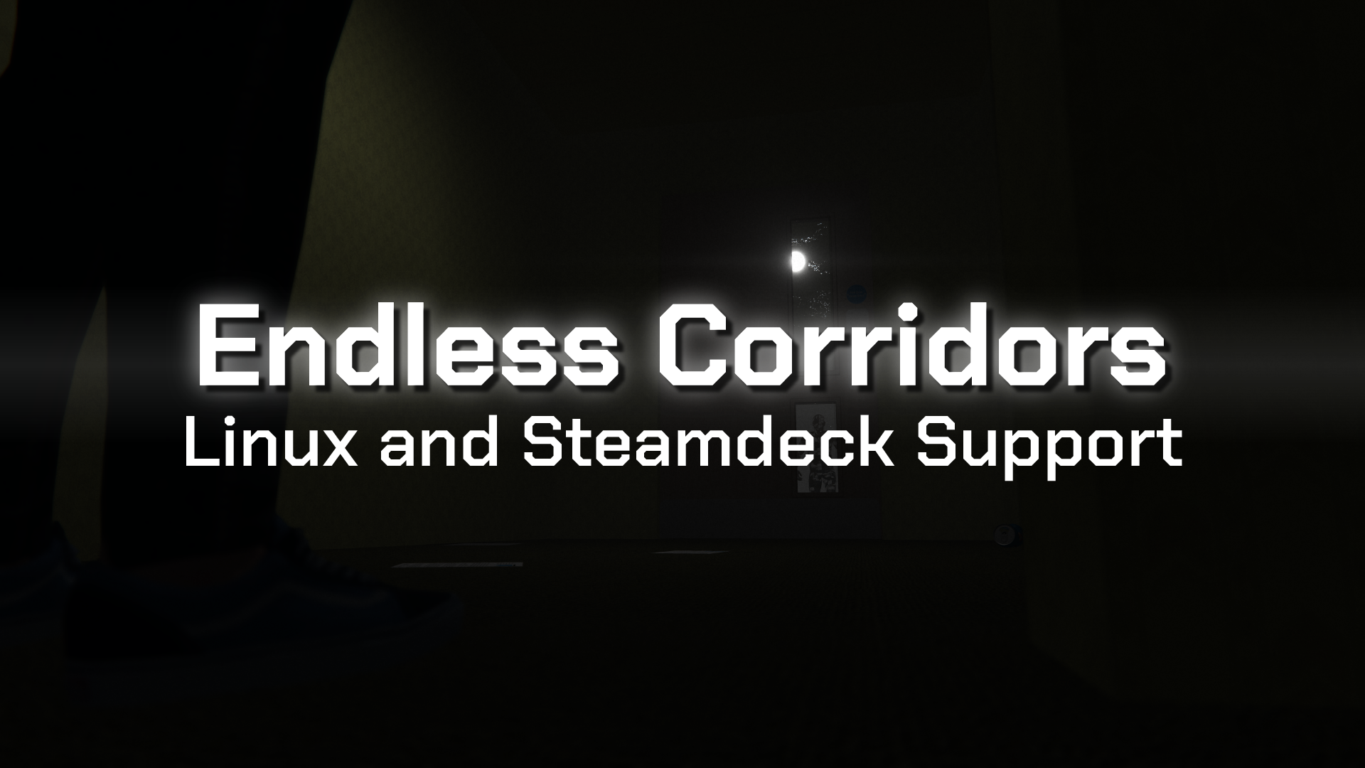 Linux Support in Endless Corridors